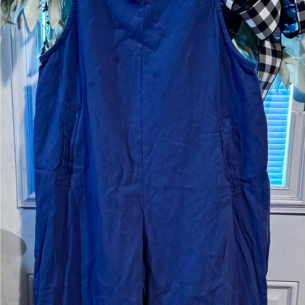 Blue Sleeveless Jumpsuit/Romper